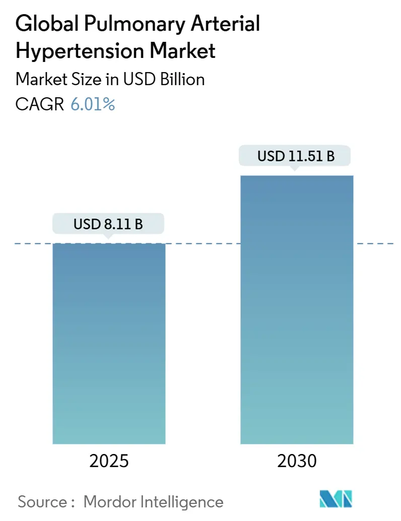 Global Pulmonary Arterial Hypertension Market (2025 - 2030)