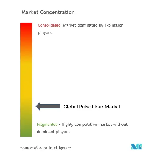 Pulse Flour Market Concentration