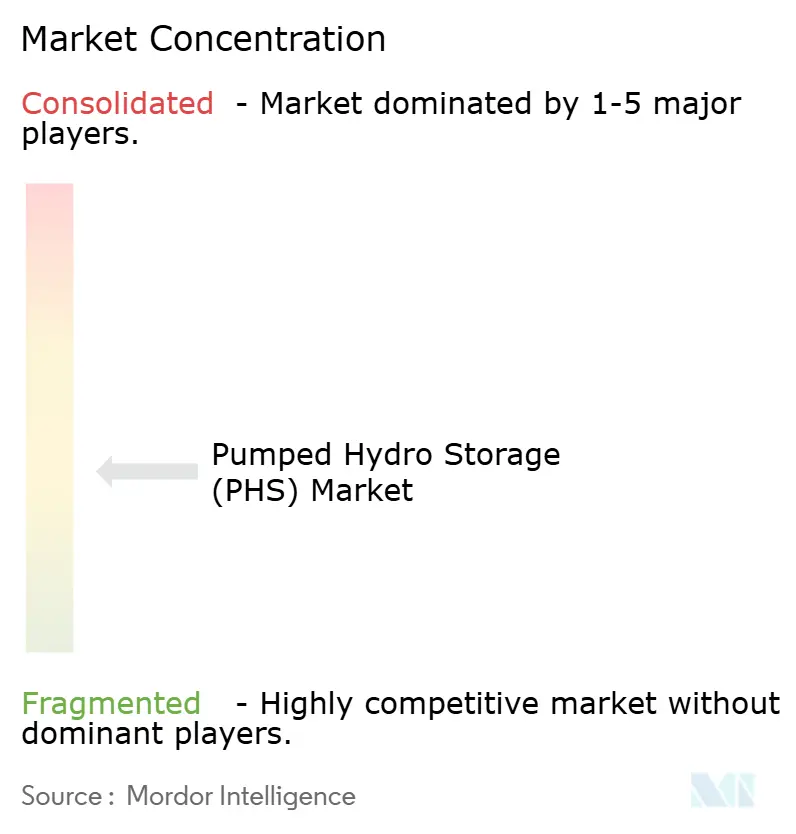Pumped Hydro Storage Market Concentration