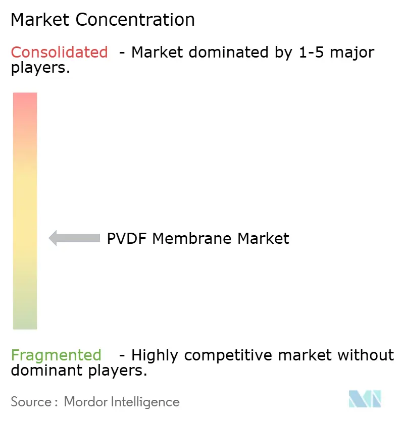 PVDF Membrane Market - Market Concentration.PNG