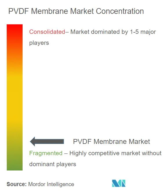 PVDF Membrane Market - Market Concentration.PNG