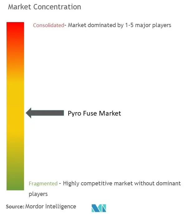 Pyro Fuse Market Concentration