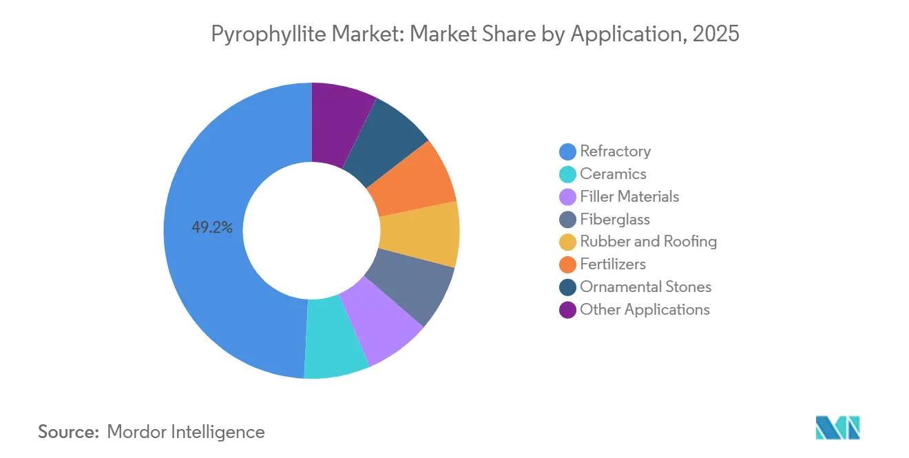 Pyrophyllite Market: Market Share by Application