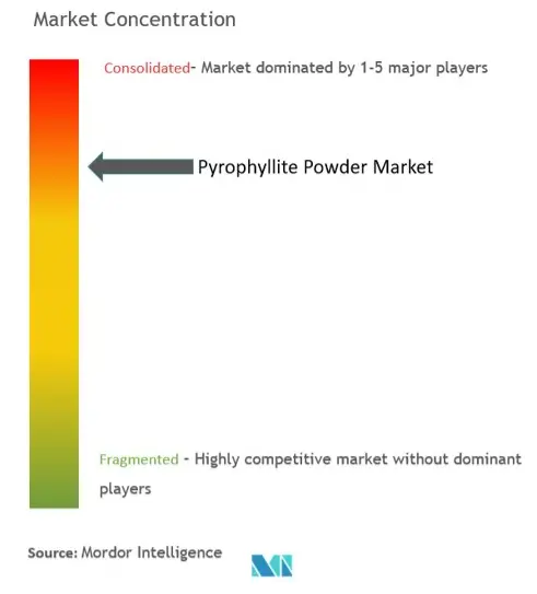 Pyrophyllite Powder Market Concentration