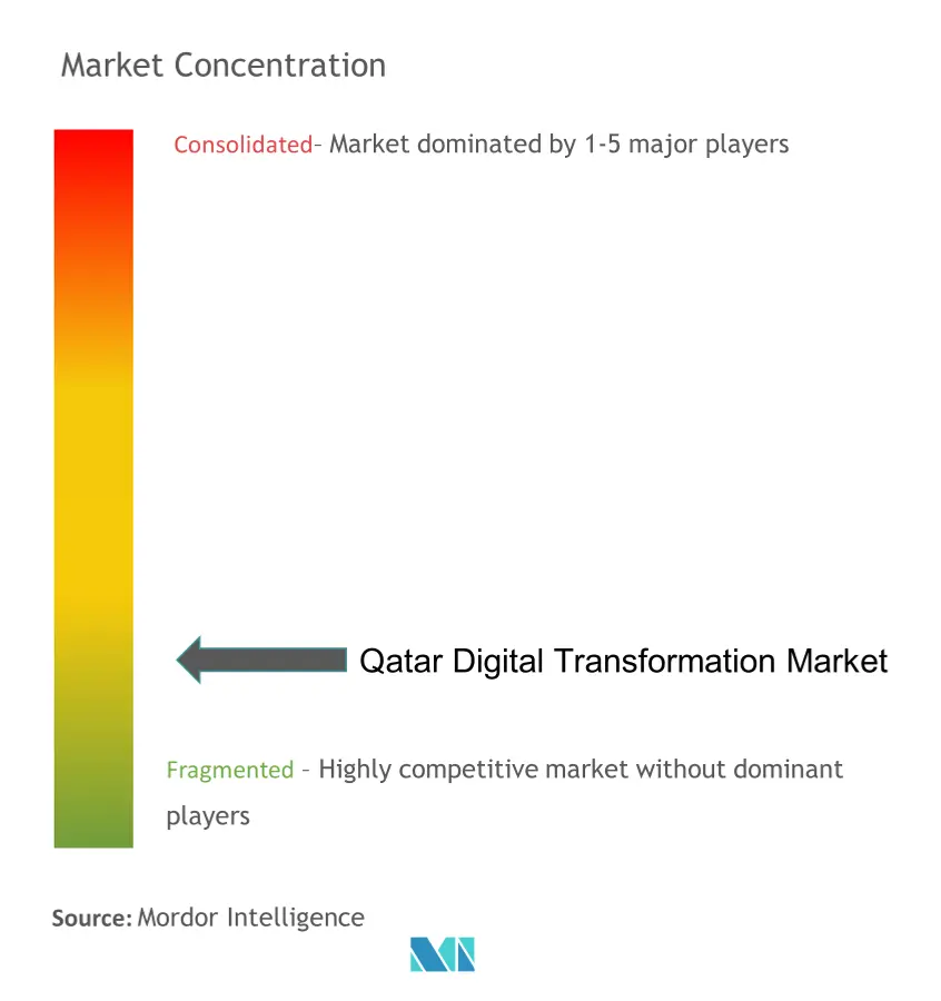 Qatar Digital Transformation Market Concentration