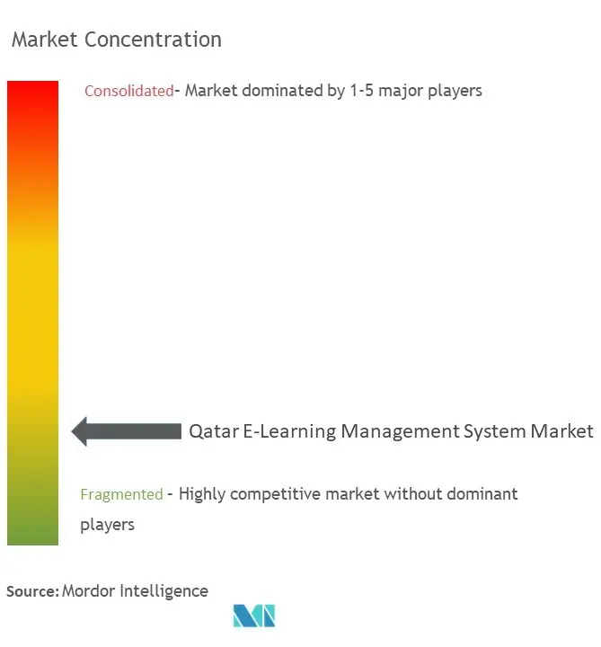 Qatar E-Learning Management System Market Concentration