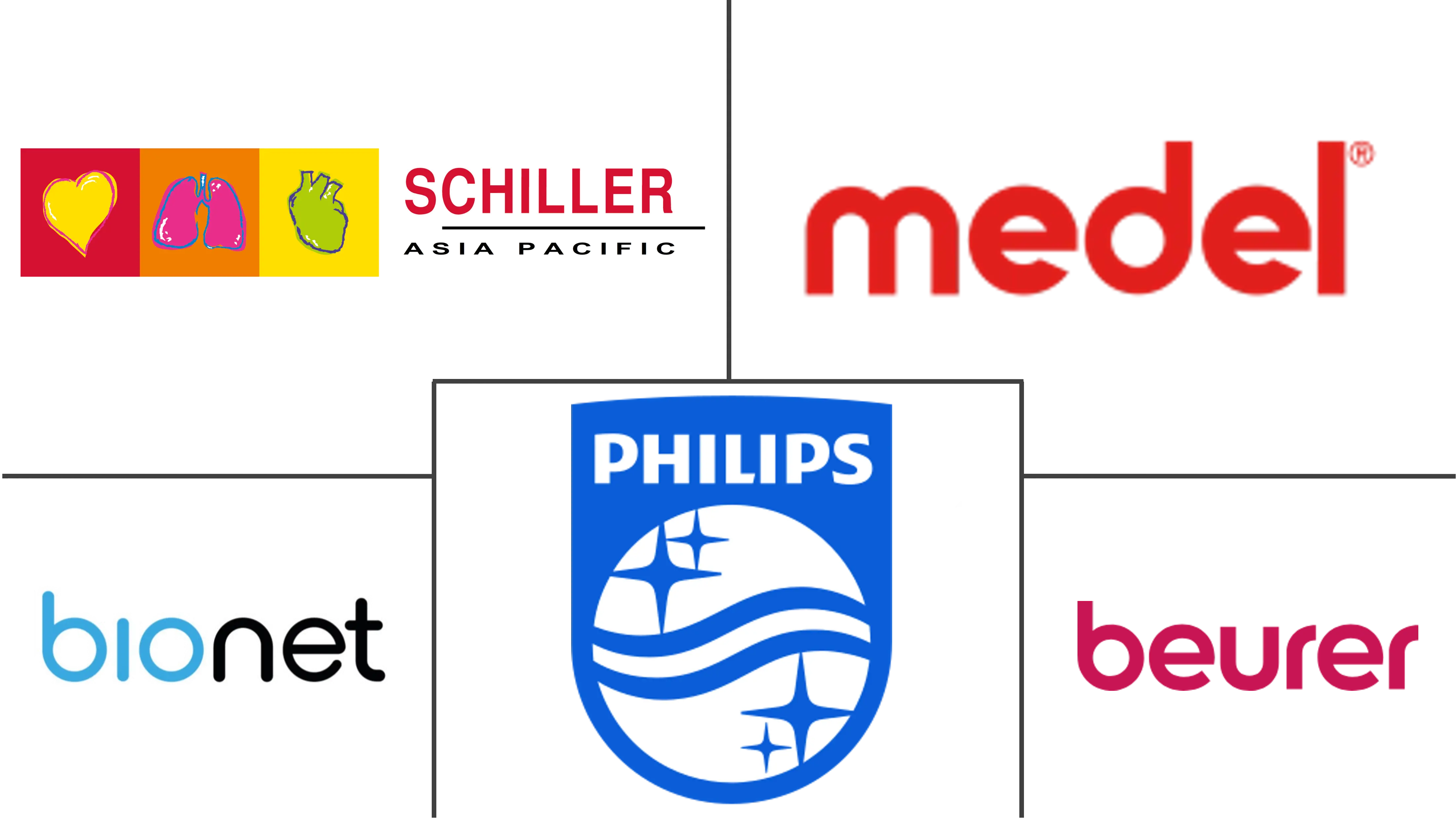 Major players in Qatar Electrocardiograph (ECG) industry