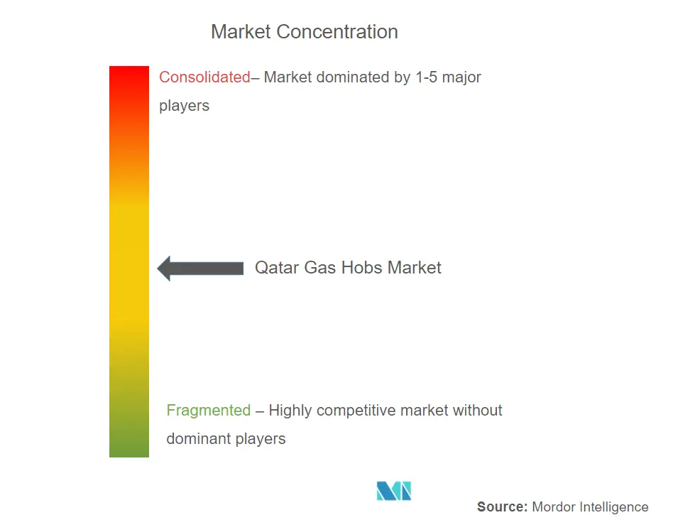 Qatar Gas Hobs Market Concentration