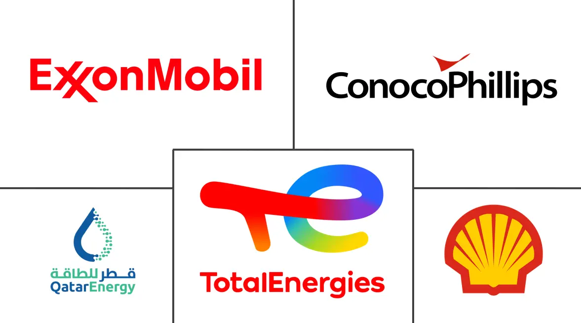 바카라사이트 장난감 석유 및 가스 산업의 주요 기업