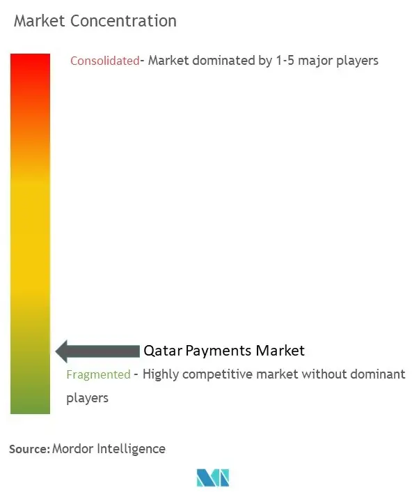 Qatar Payments Market Concentration