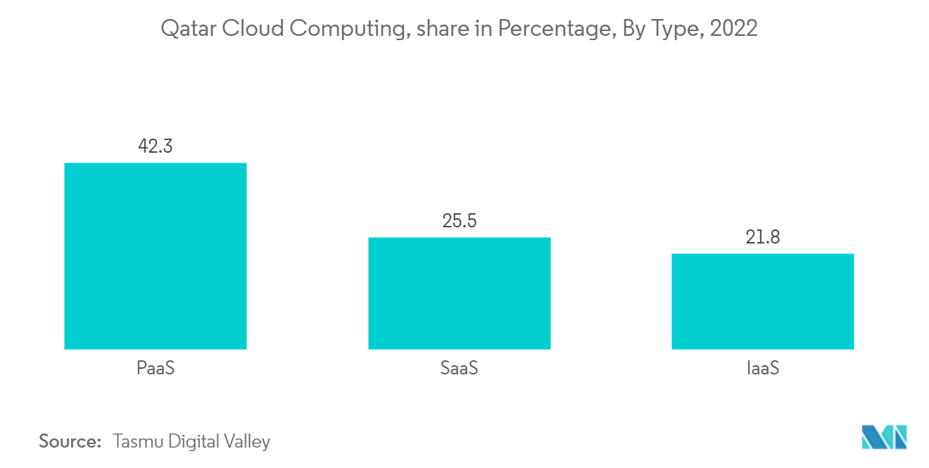 Qatar Cybersecurity Market : Qatar Cloud Computing, share in Percentage, By Type, 2022