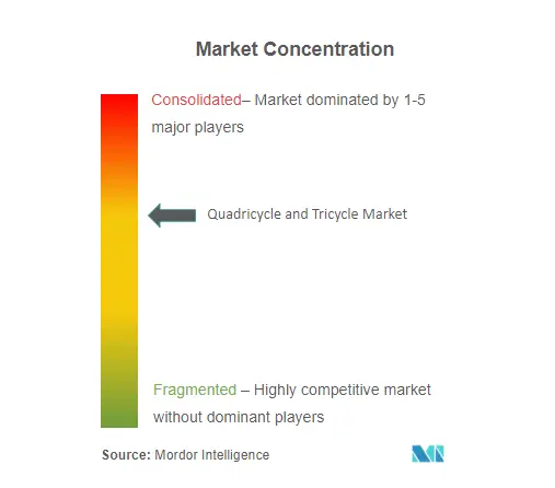 Quadricycle and Tricycle Market Concentration