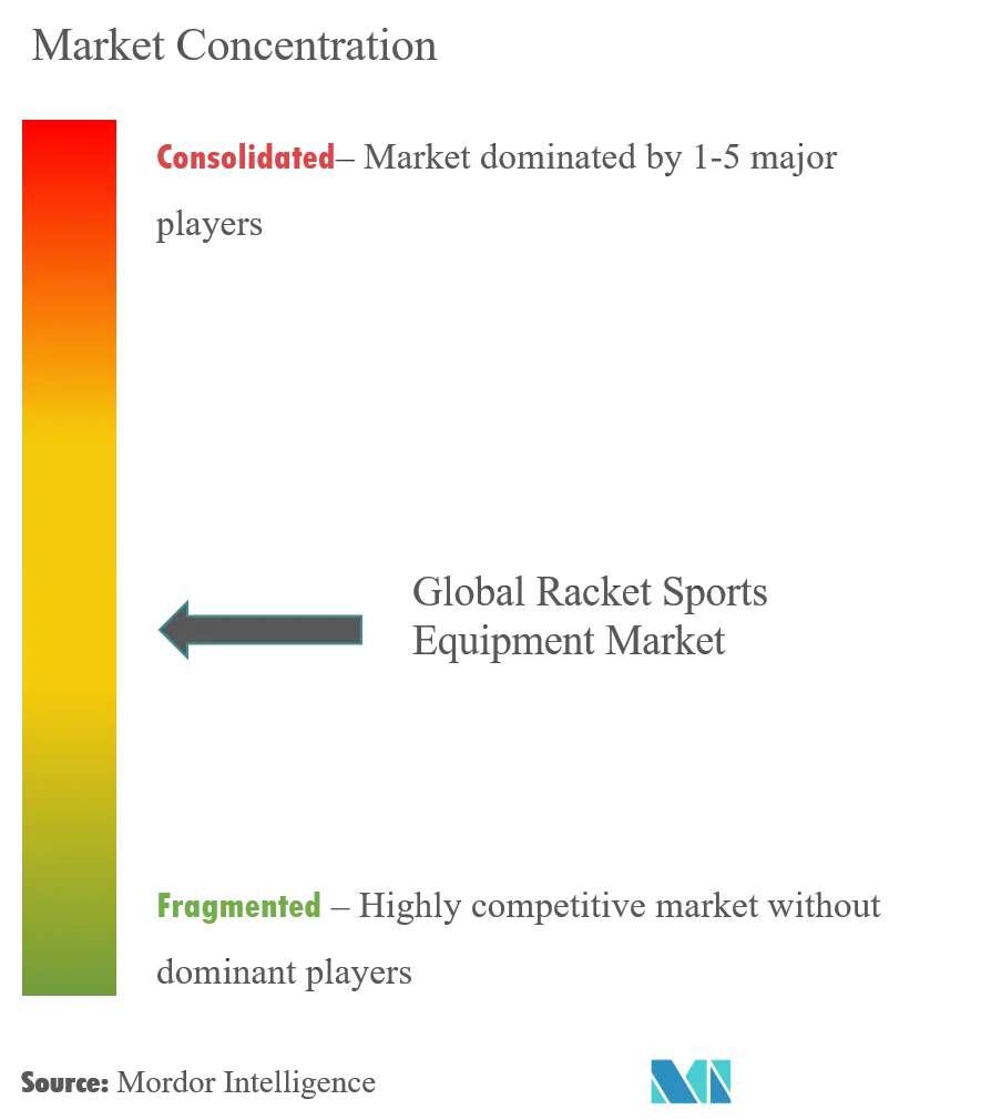 Racket Sports Equipment Market-market concentration.png