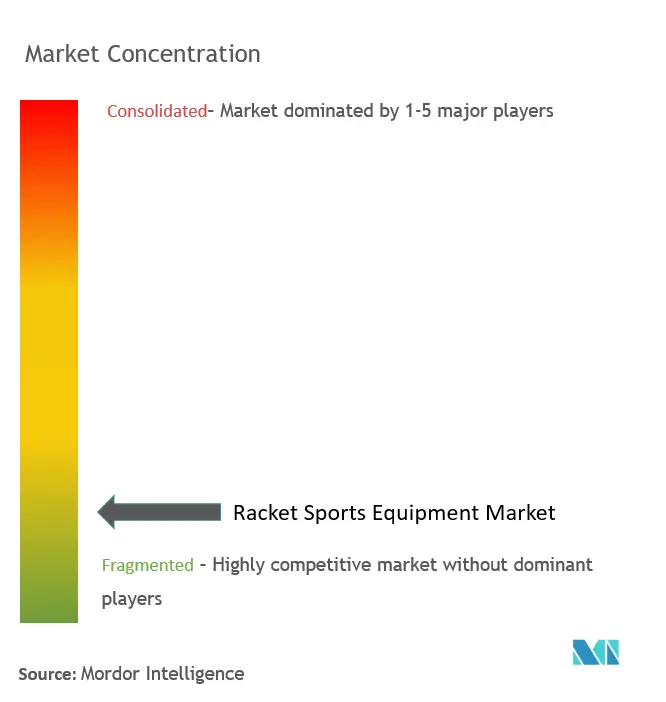 Concentración del mercado de equipos deportivos de raqueta