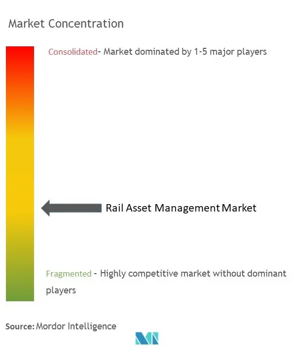 Rail Asset Management Market Concentration