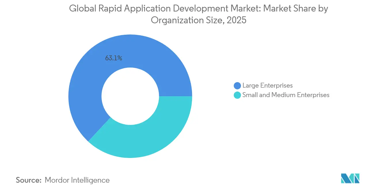 Global Rapid Application Development Market: Market Share by Organization Size, 2025