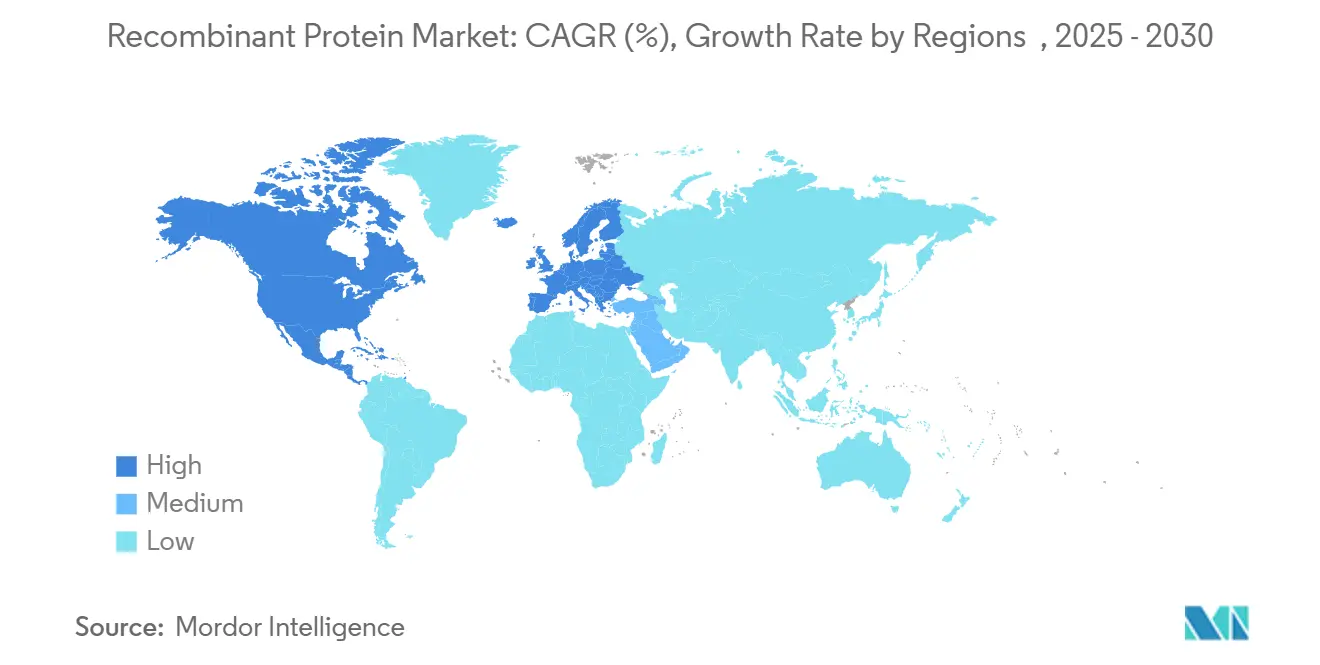 Recombinant Protein Market