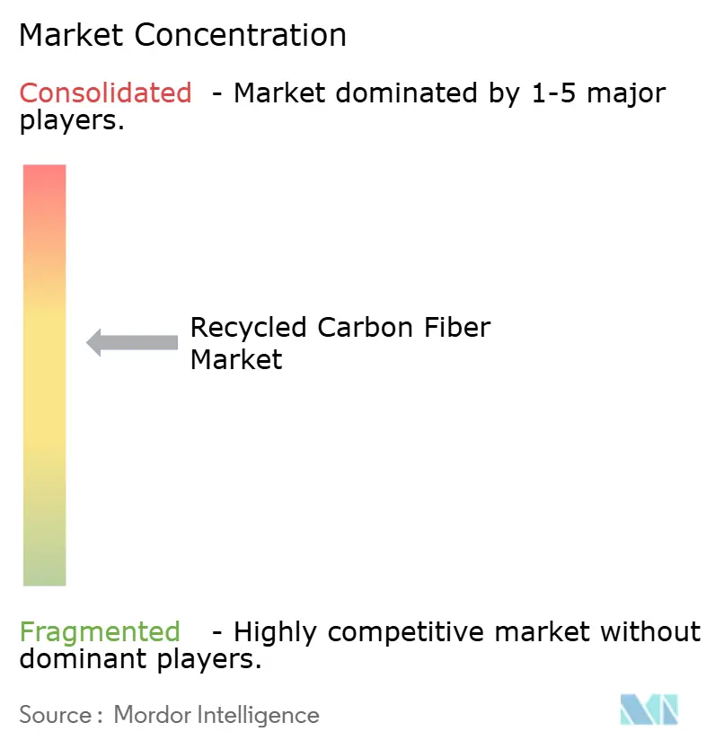 Recycled Carbon Fiber Market Concentration