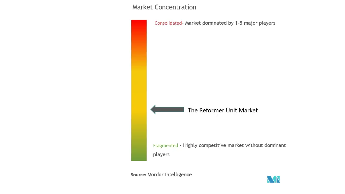 Reformer Unit Market Concentration