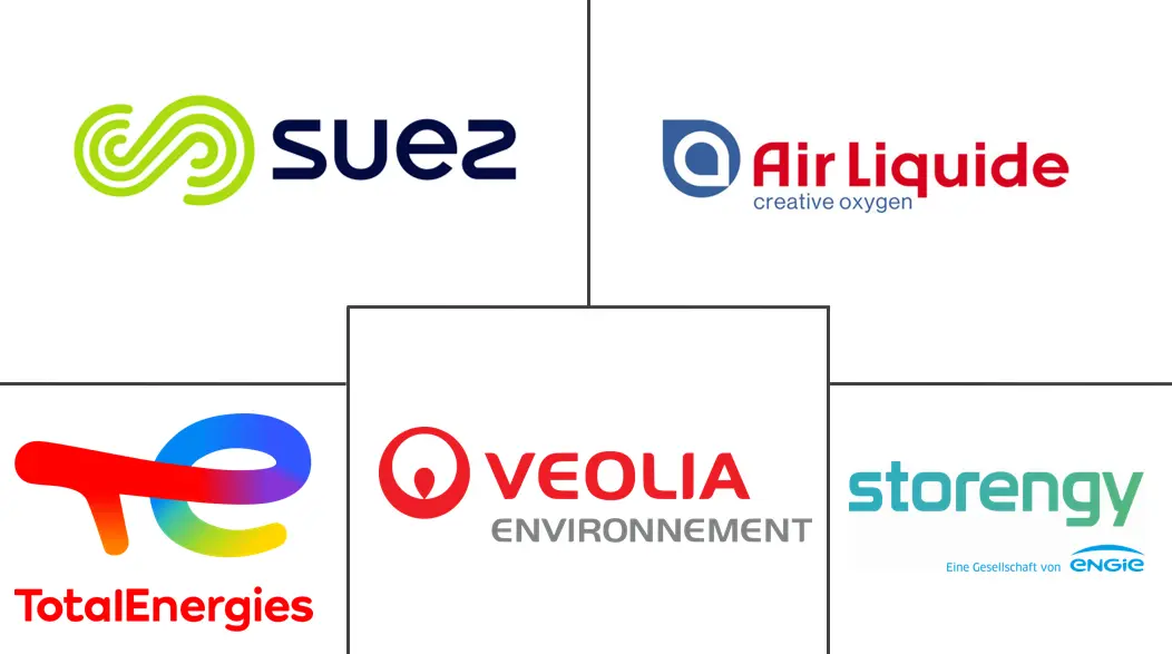 Major players in Renewable Gas From Waste industry