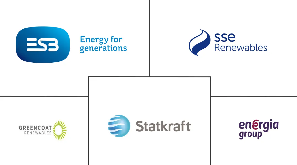 Republic Of Ireland Renewable Energy Market Major Players Republic Of Ireland Renewable Energy Market Major Players