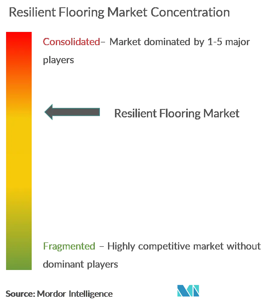 Market Concentration - Resilient Flooring Market.png