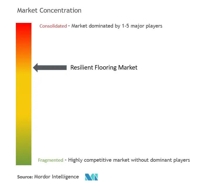 Resilient Flooring Market Concentration.jpg