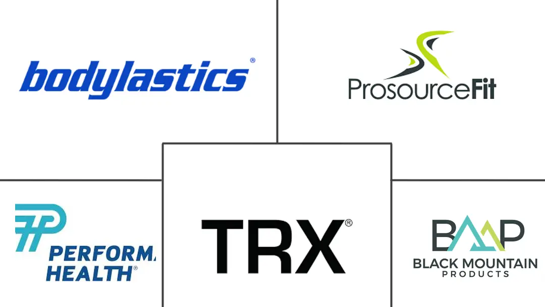 Major players in Resistance Bands industry