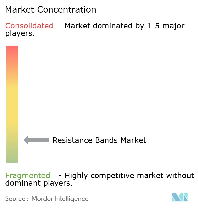 Resistance Bands Market