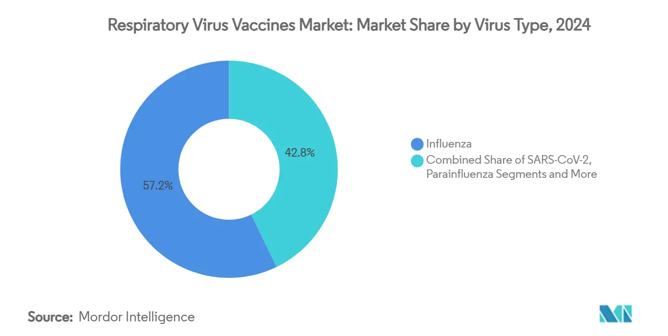 Respiratory Virus Vaccines Market Share by Virus Type, 2024