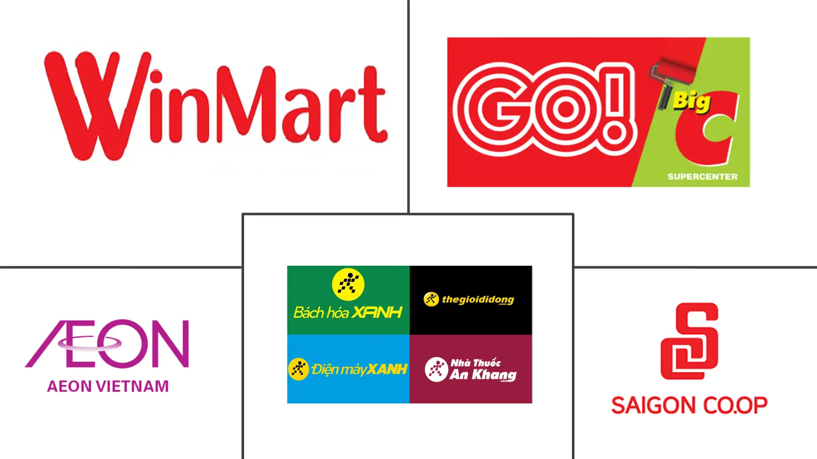 Top Vietnam Retail Major Players