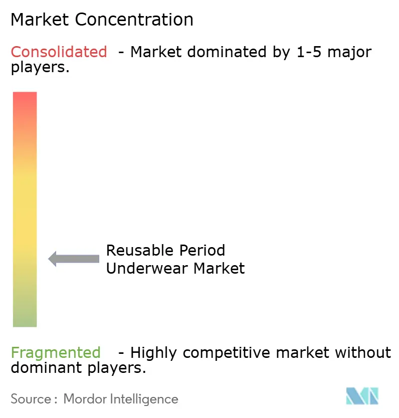 Reusable Period Underwear Market Concentration