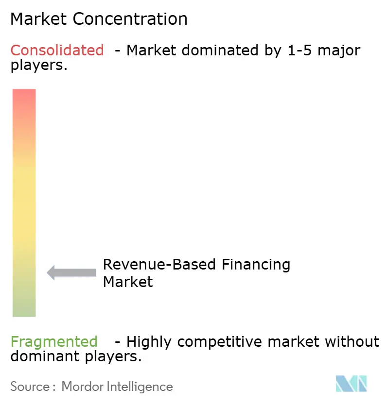 Revenue-Based Financing Market Concentration