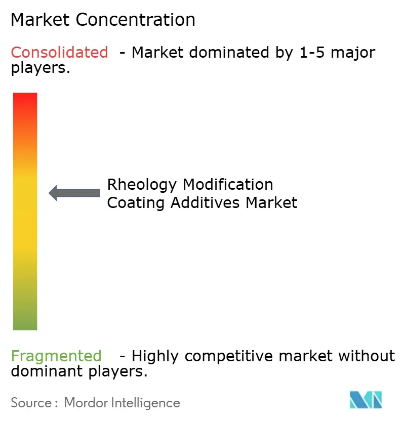 Rheology Modification Coating Additives Market Concentration