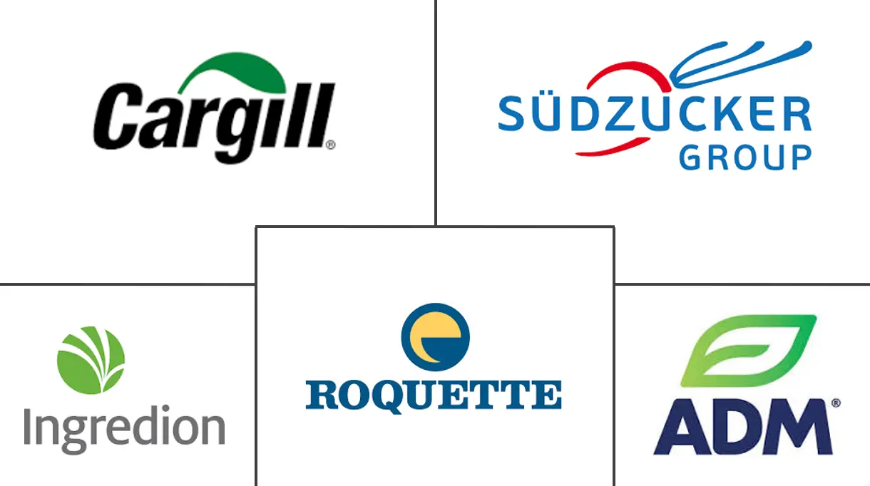 Major players in Rice Derivatives industry