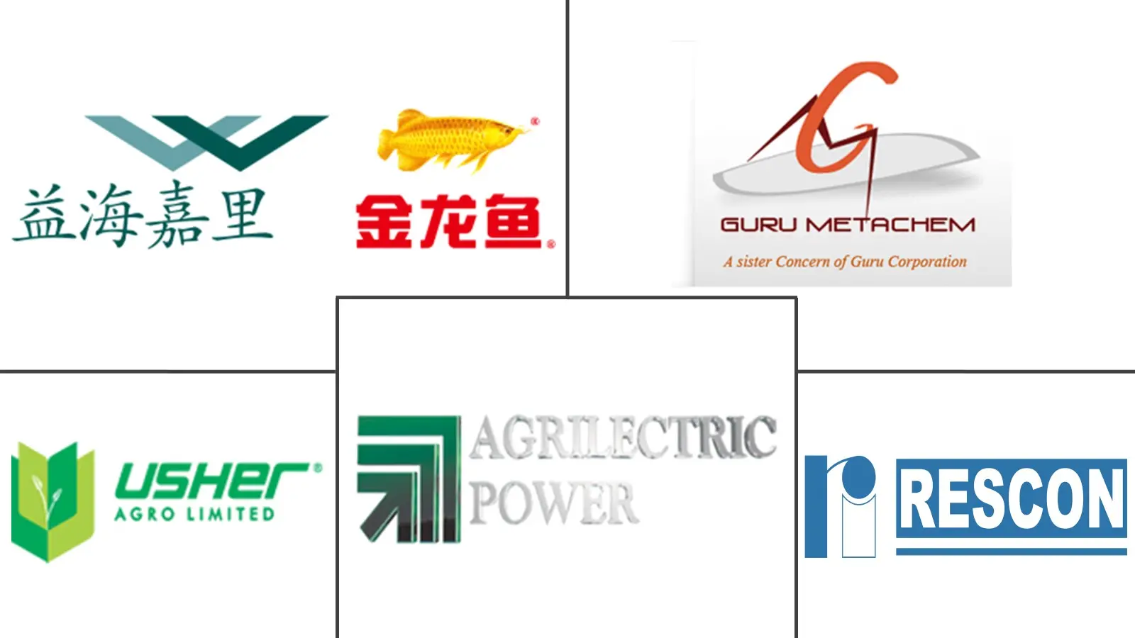 Major players in Rice Husk Ash industry