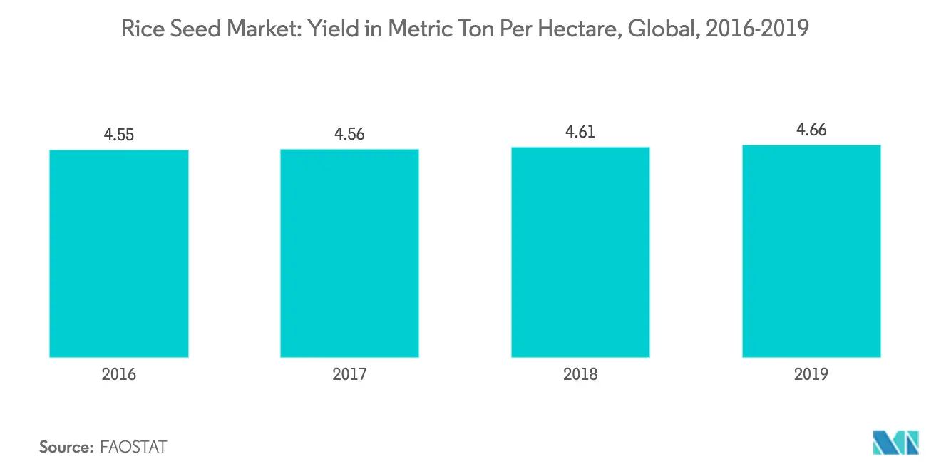 Global Rice Seeds Market1