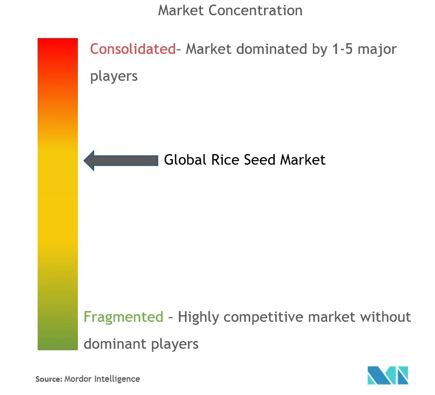 Rice Seed Market Analysis