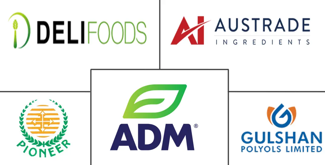 Major players in Rice Syrup industry