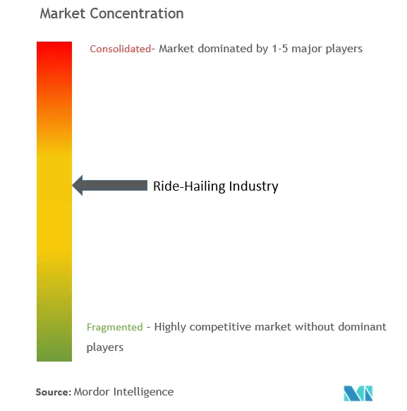 Ride-Hailing Market Concentration