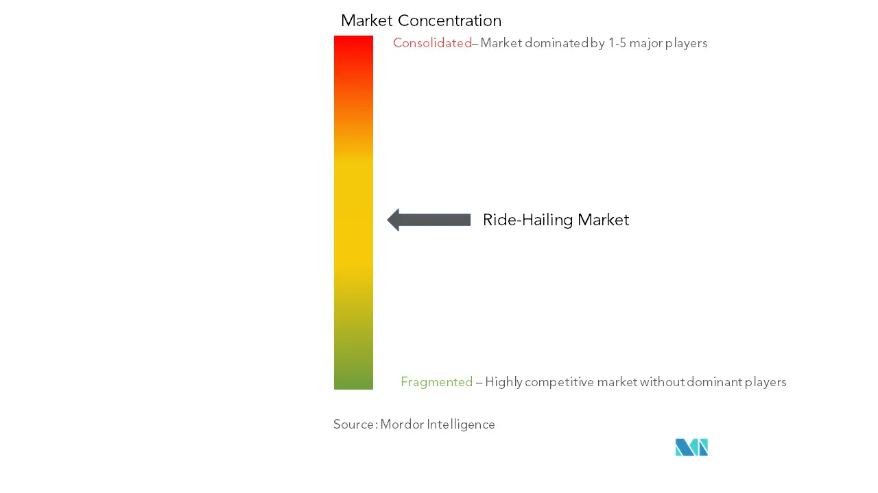 Ride-Hailing Market Concentration