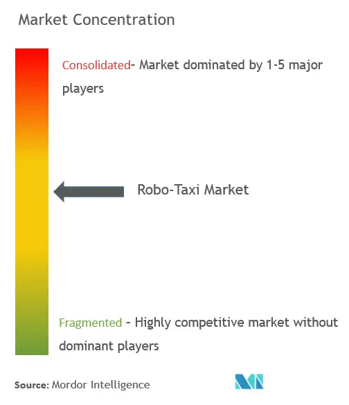 Robo TaxiConcentración del Mercado