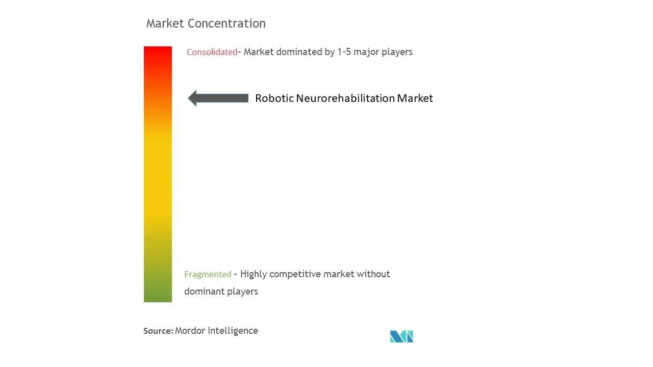 Robotic Neurorehabilitation Market Concentration