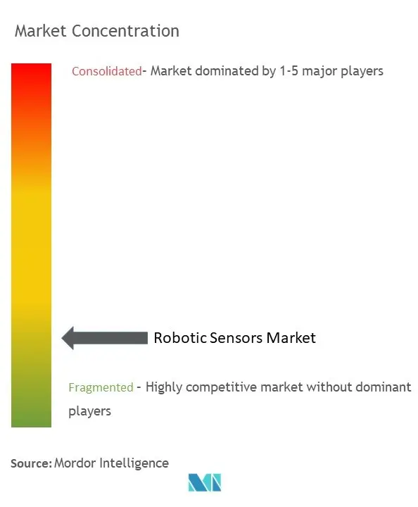 Robotic Sensors Market Concentration