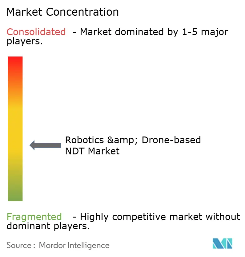 Robotics & Drone-based NDT Market