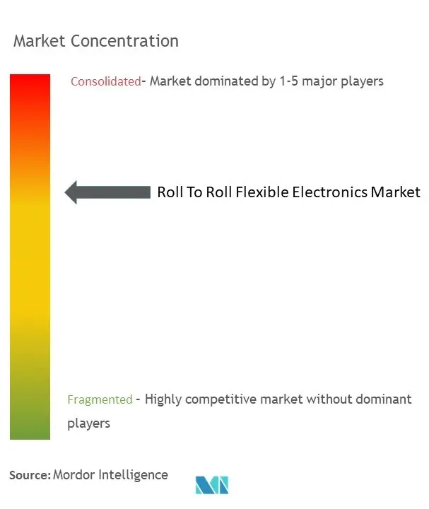 Roll To Roll Flexible Electronics Market Concentration