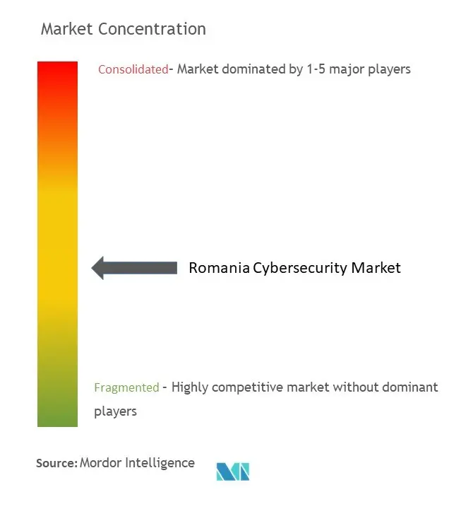 Romania Cybersecurity Market Concentration