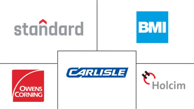 Principales actores en Mercado de Techado industria