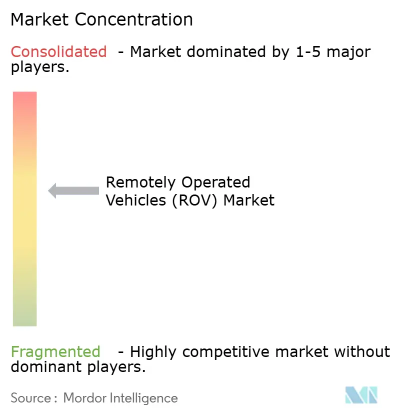 ROV Market Concentration