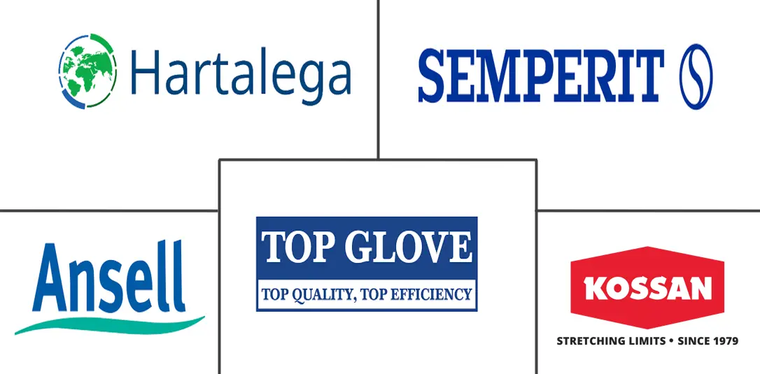 Major players in Rubber Gloves industry